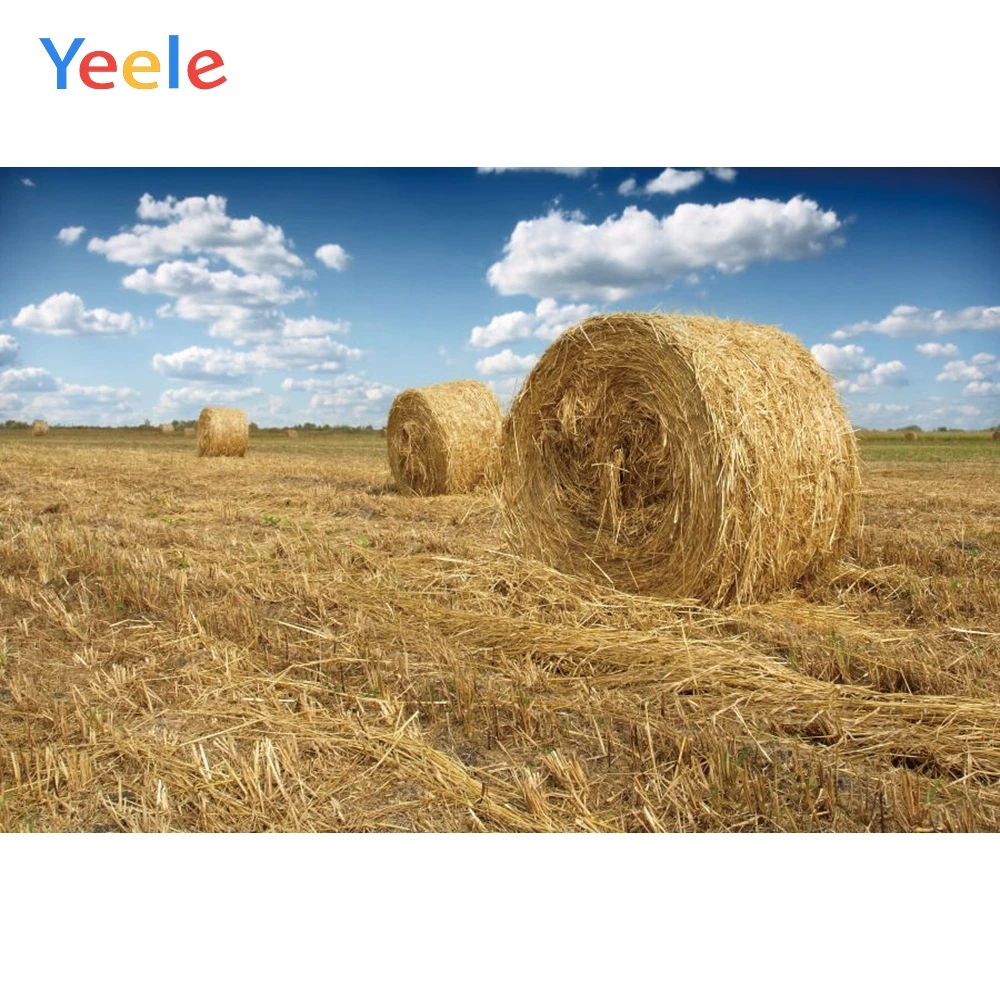 Фон для фотосъемки новорожденных детей с изображением осенней фермы поля сена