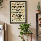Плакаты в стиле ретро животные птицы насекомые млемовые винтажные картины по биологии жизни художественные настенные картины для гостиной домашний декор