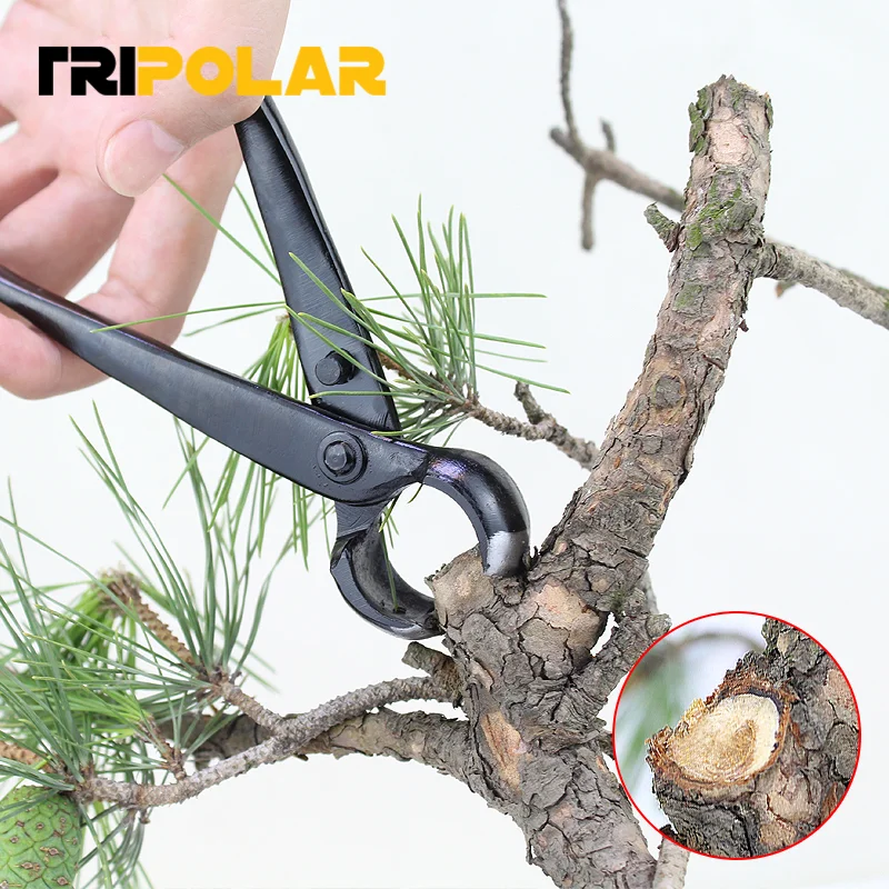 

8,27-дюймовый резак для ветвей, профессиональные инструменты для бонсая, сверхмощный резак для рукоятки, секатор для растений