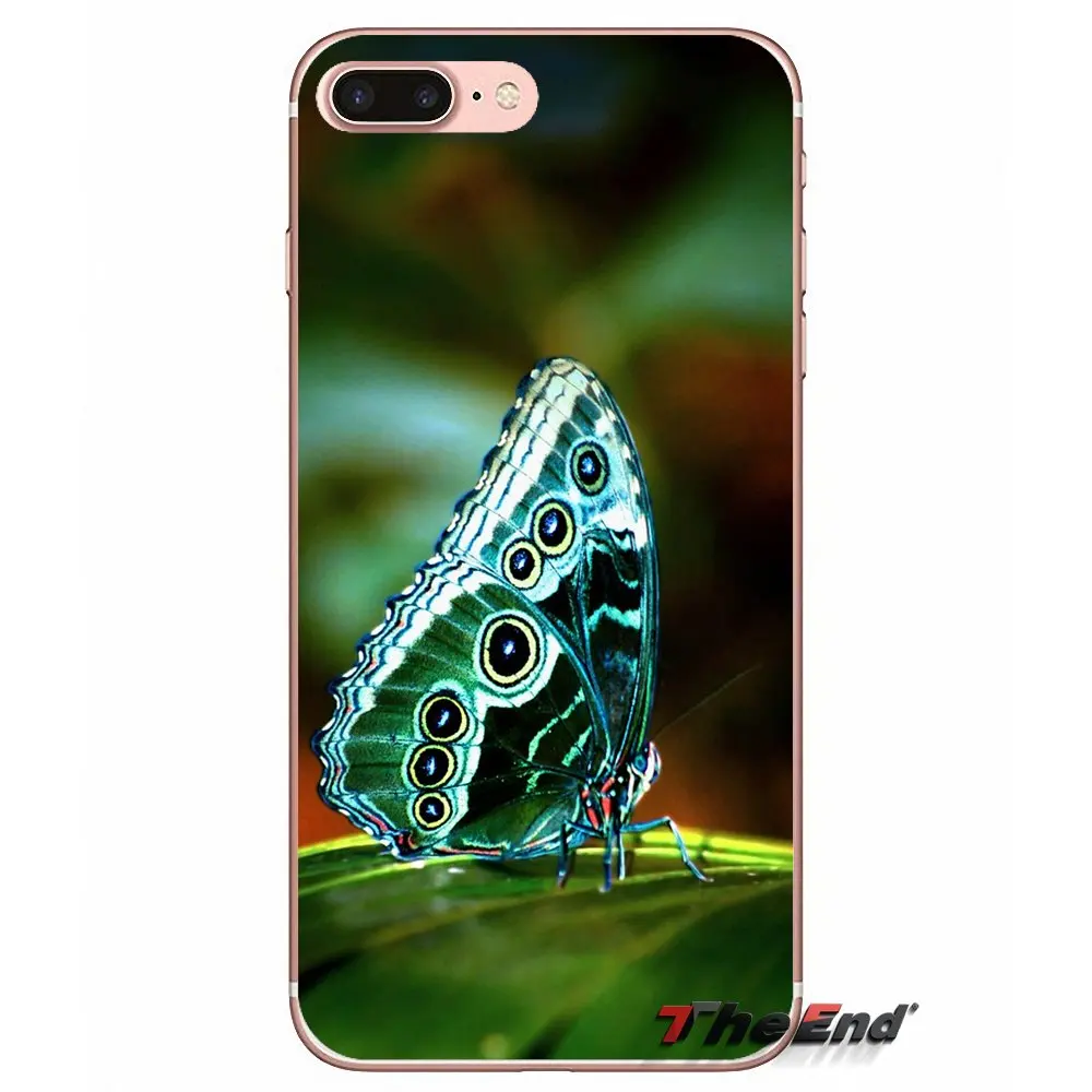 Мягкие прозрачные чехлы для Samsung Galaxy J1 J2 J3 J5 J7 A3 A5 A7 2015 2016 2017 J330 J530 J730 бабочка |