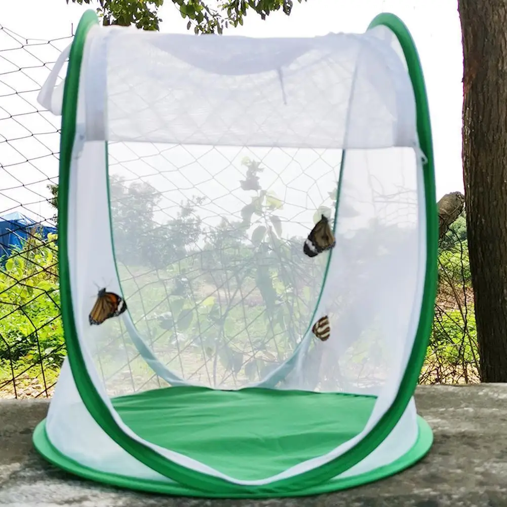 

Инкубатор для рассады с светильник пропусканием, домашний инкубатор для домашних животных, складная клетка для кузнечика в виде бабочки на ...