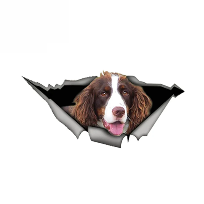 

Dawasaru Brown and White Springer Spaniel Car Sticker Torn Metal Decal Reflective Stickers Funny Pet Dog Decals 13cm X 6cm