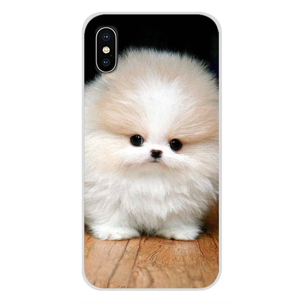 images 7 Pomeranian dogs для Apple IPhone X XR XS MAX 4 4s 5 5S 5C SE 6 6S 7 8 Plus ipod touch 5 6 Аксессуары чехлы для телефонов - Цвет: images 7