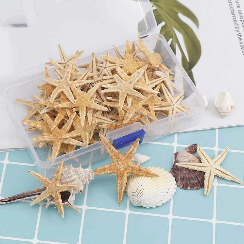 

1Box 20/50/100pcs Natural Starfish Seashell Beach Craft Natural Sea Stars DIY Beach Wedding Decoration Crafts Home Decor