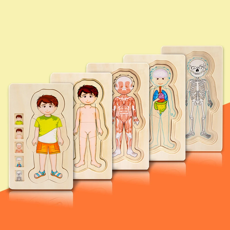 Горячая Распродажа развивающая многослойный деревянный пазл игрушки человека