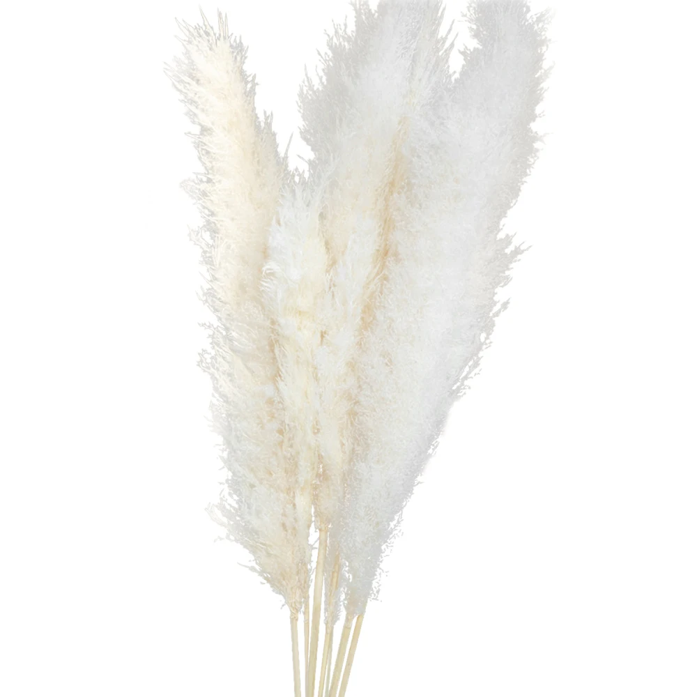 

Моделирование Рид высокого качества пампасной травы Декор Цветы Phragmites обращаем ваше внимание на свадьбу или для особых случаев искусствен...
