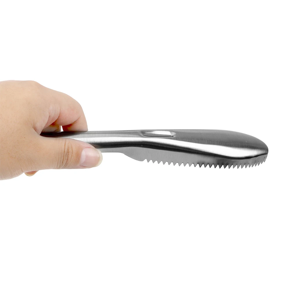 

Stainless Steel Fish Skin Scraper Scaler Brush Kitchen Accessories Gadgets Cooking Seafood Tools