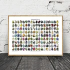 Минералы MT127, оригинальные элементы, информационная схема, плакат, холст, живопись, настенное искусство, картина, плакат, печать, комната, домашний декор