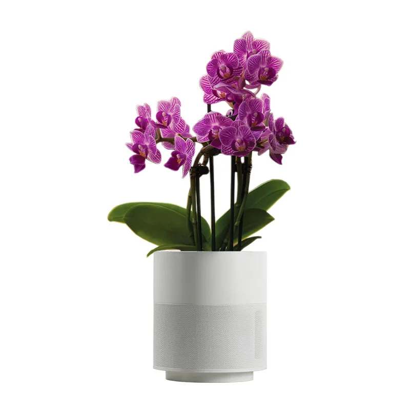 

Home Garden Smart Flower Pot Automatic Growth Wonderland Garden Decoration Flower Pot Flower Pot Desktop Decoration Jewelry Gift