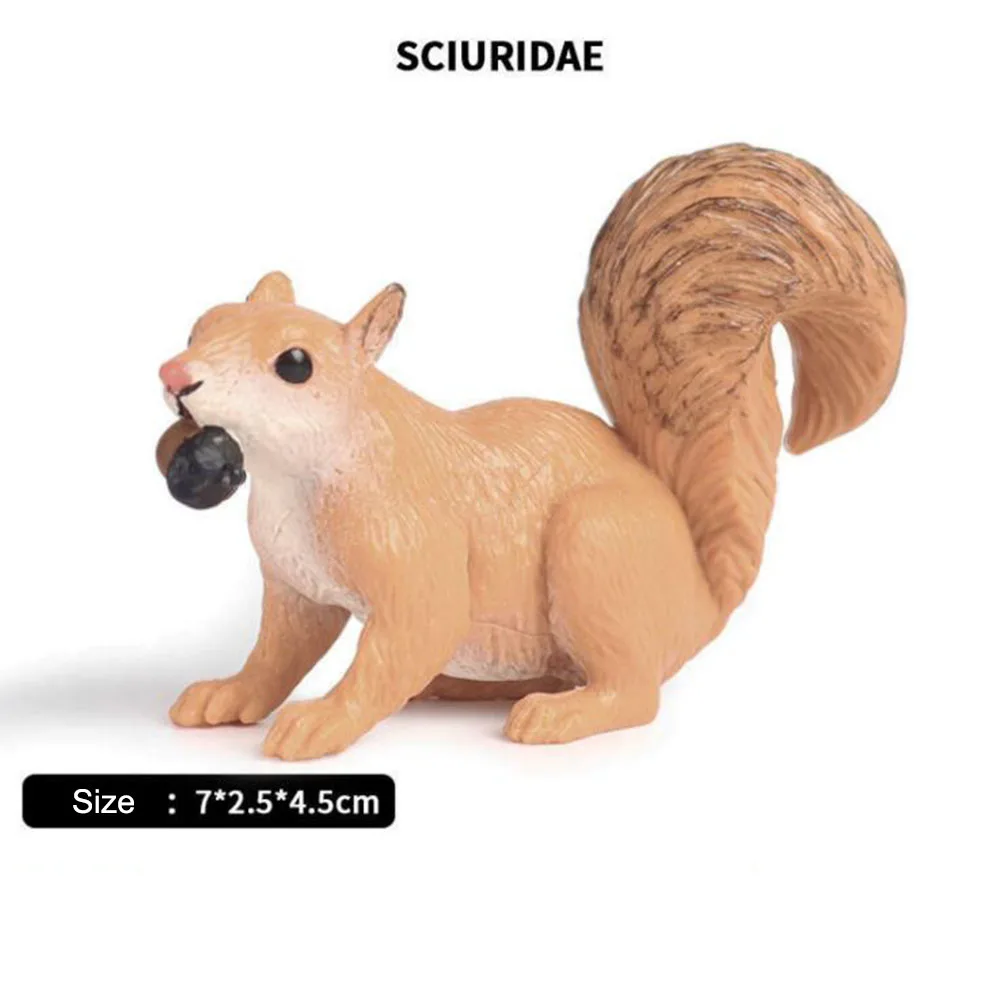 

Детские развивающие игрушки для когнитивных науки, модель животного, цветочный горшок с дикой белкой, суккулент, песок, украшение «сделай с...