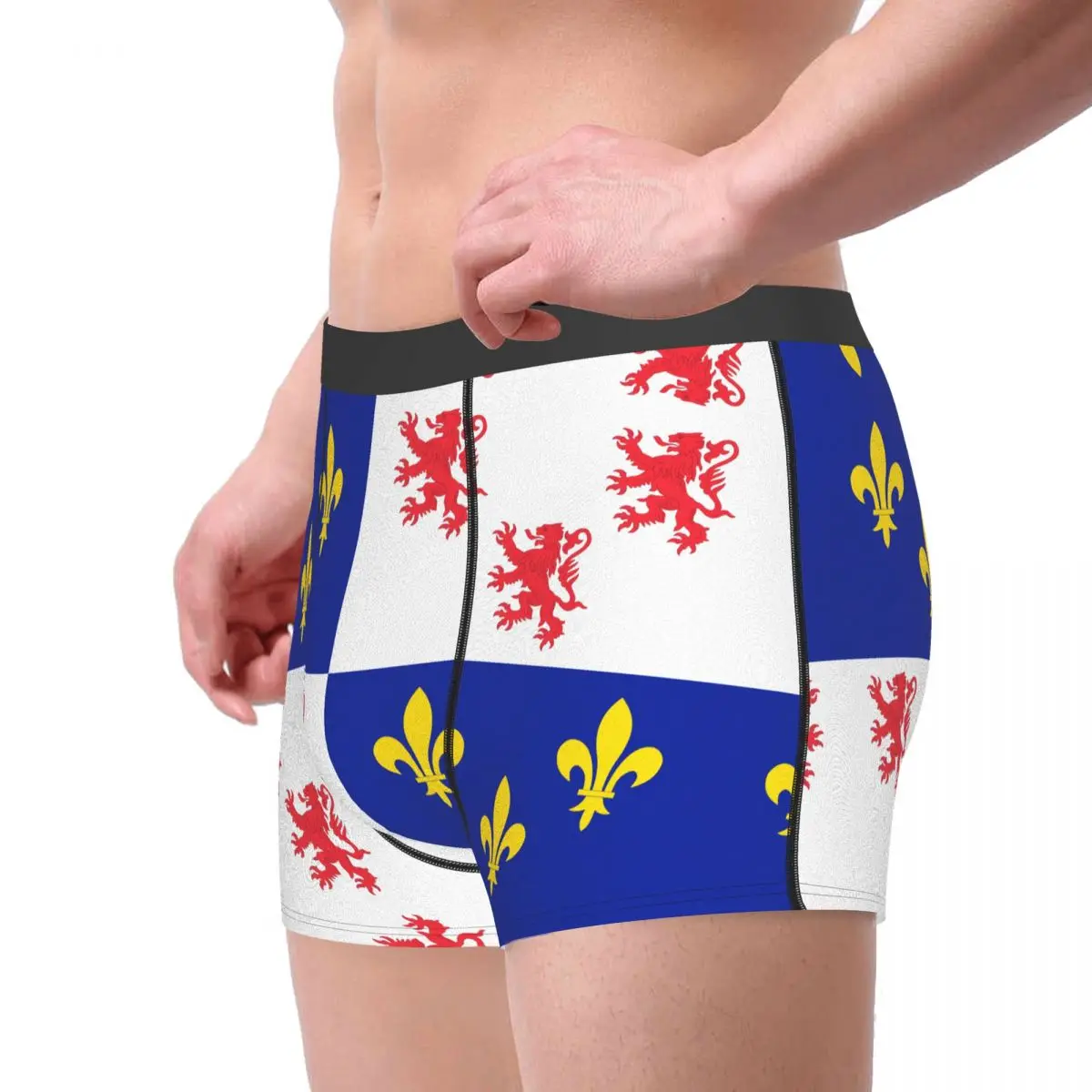 Flag Of Picardie Men's Boxer Briefs Flags of the regions of France Nerd elastic pants for men