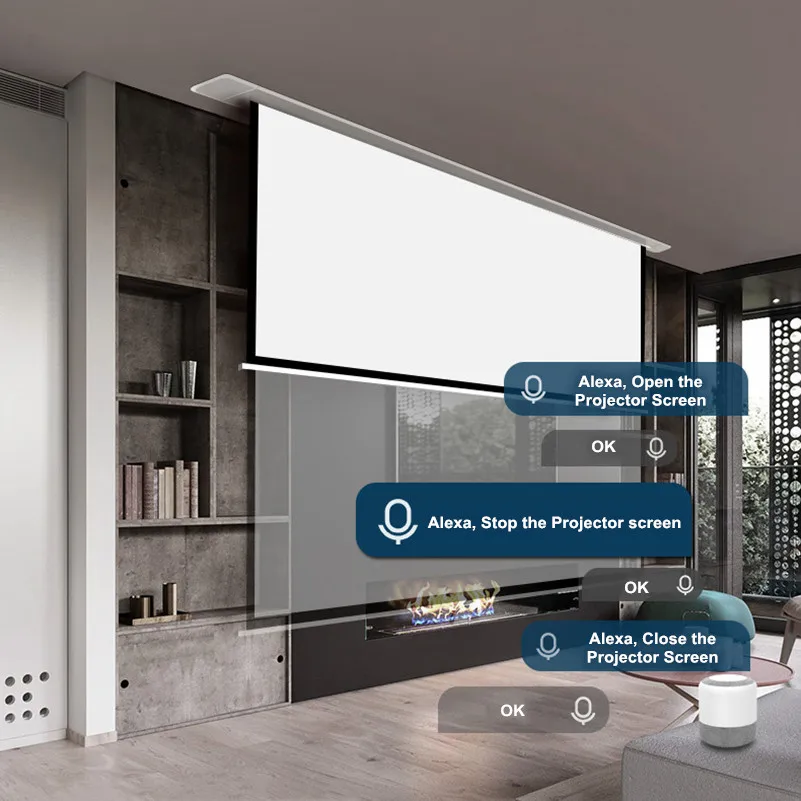 THMFGH 80 150 &quotвстраиваемый в потолок электрический/моторизованный