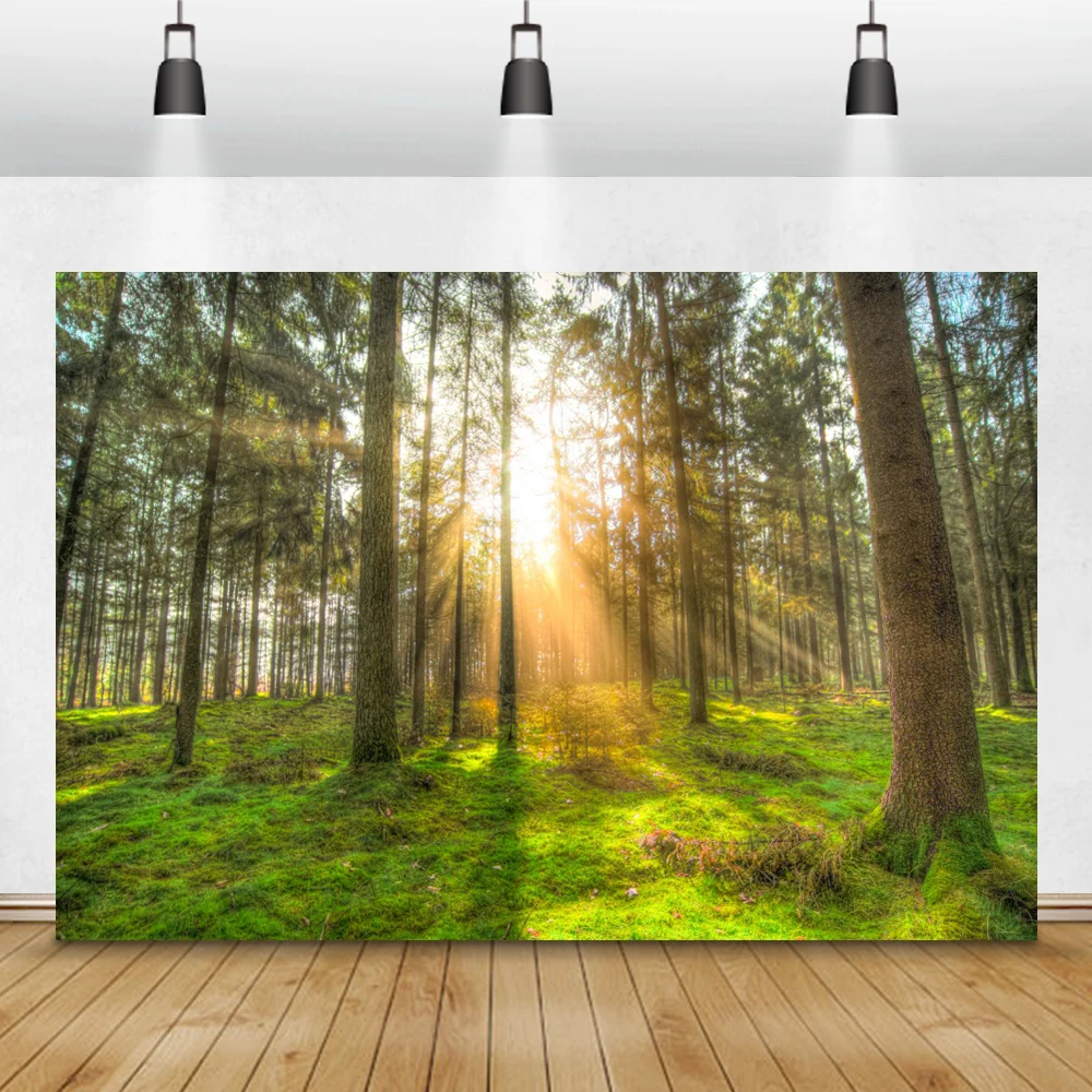 Laeacco весенние Джунгли Лес Солнечный свет деревья Новорожденные Портретные