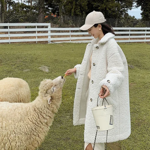 

A Thickened Fur Coat, A Fur Coat, A Down Coat.