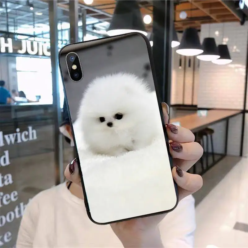 

Hiromi cute dog Phone Case for iPhone 11 12 pro XS MAX 8 7 6 6S Plus X 5S SE 2020 mini