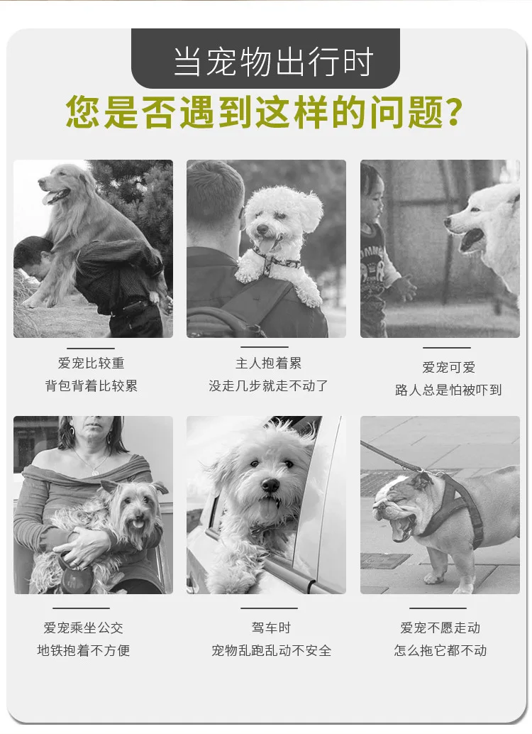 CARRYLOVE стильный и дышащий маленький pet путешествия Оксфорд прокатки багаж Спиннер брендовый Дорожный чемодан