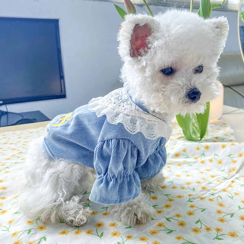 PETCIRCLE одежда с принтом в виде собак кружево вельветовое пальто подходит для