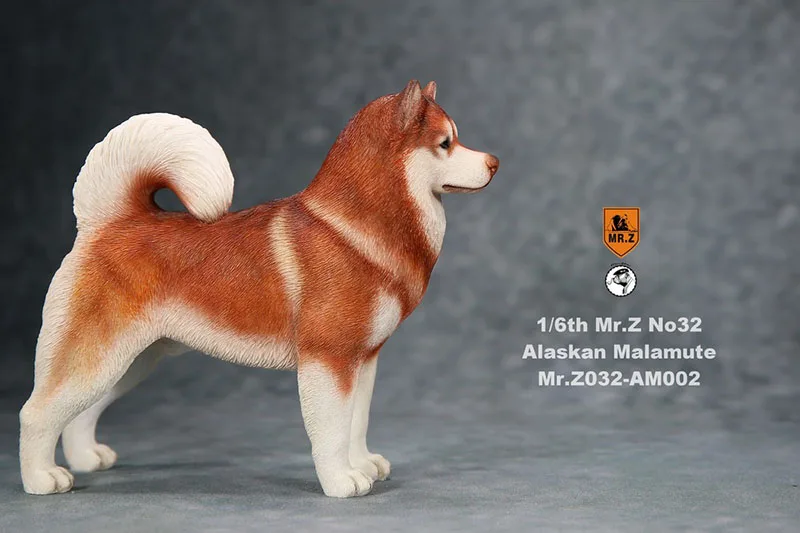 

Mr.Z MRZ032 1/6 Alaskan Malamute Dog Model Pet Statue Fit 12'' Action Figure Body Dolls