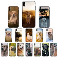 maiyaca anime labrador dog phone case for iphone 13 11 pro xs max 8 7 6 6s plus x 5 5s se xr se2020