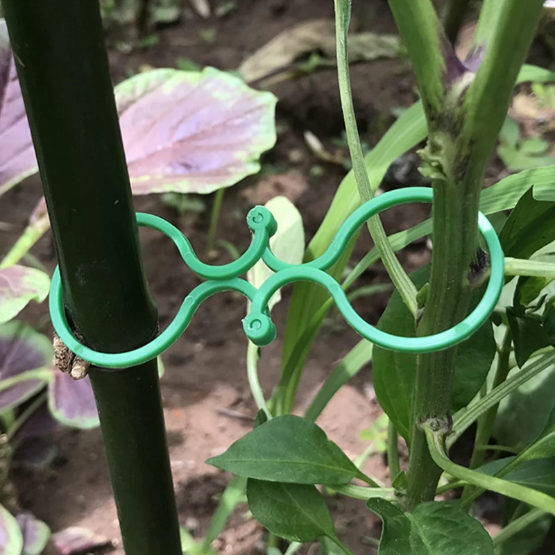 

50/100pcs Plastic Plant Clips Supports Connects Reusable Protection Grafting Fixing Tool Gardening Supplies for Vegetable Tomato