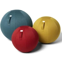 2021 new sports yoga balls with handle cover pump pilates fitness gym balance fitball massage training workout exercise ball