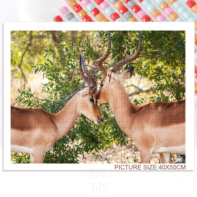 Зебра Осел 5D DIY квадратный круглый мозаичный наклейка Алмазная вышивка Травяная лужайка Клейкая картина Домашнее украшение Ручная работа Подарок.