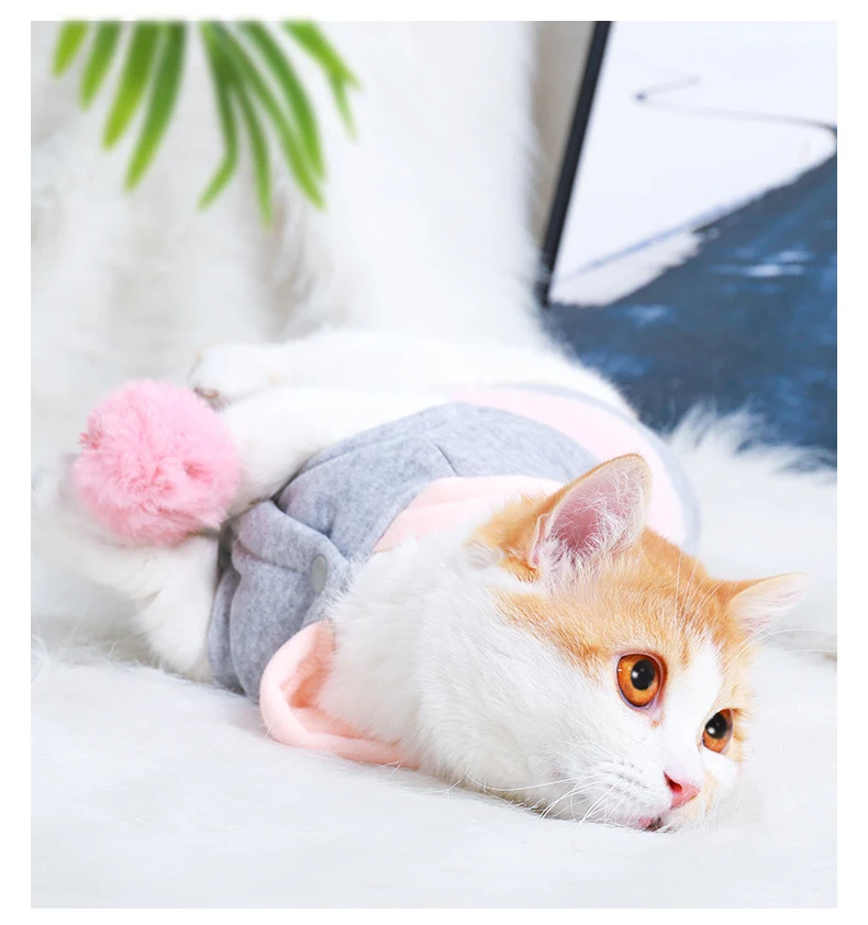 Hoopet одежда для домашних животных, котов собака пальто костюм плюшевого медвежонка на щенков и небольших собак, платье принцессы, одежда для кошек