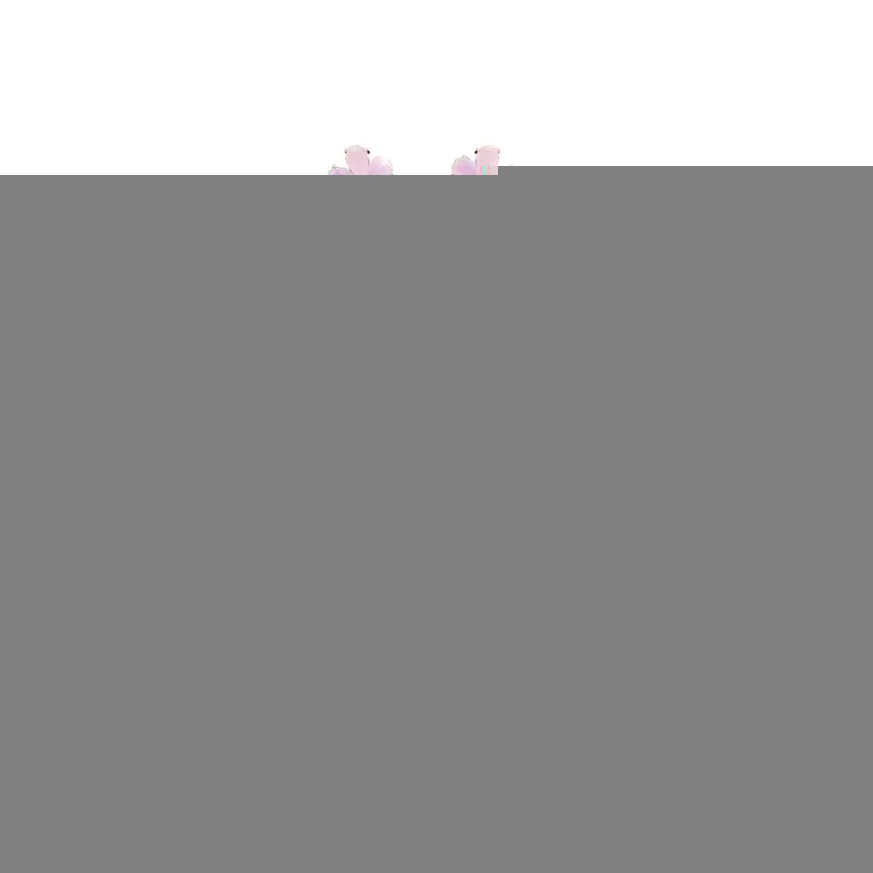 

2021 Chic Korean temperament long earrings elegant and simple tassel flower earrings pendientes mujer