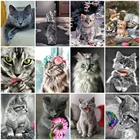 AZQSD 5d алмазная картина, Новое поступление, подарок кошки ручной работы, алмазная вышивка, животные, мозаика, украшение для дома, рукоделие