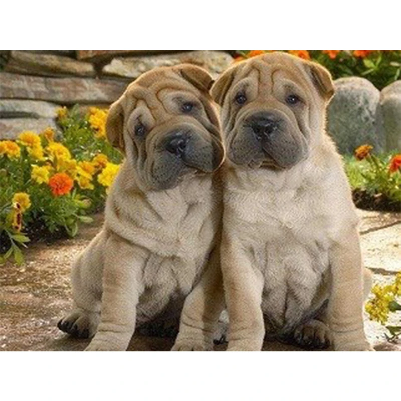 Полное 5D рукоделие "Painting крестиком" собаки-пары с 3D алмазами круглой формы и ринестонами.