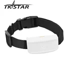 TKSTAR TK911 2G GSM GPS-трекер для домашних животных GPS-локатор TKSTAR мини GPS-трекер для домашних животных GPS-трекер для собак с бесплатным приложением водонепроницаемый IP67