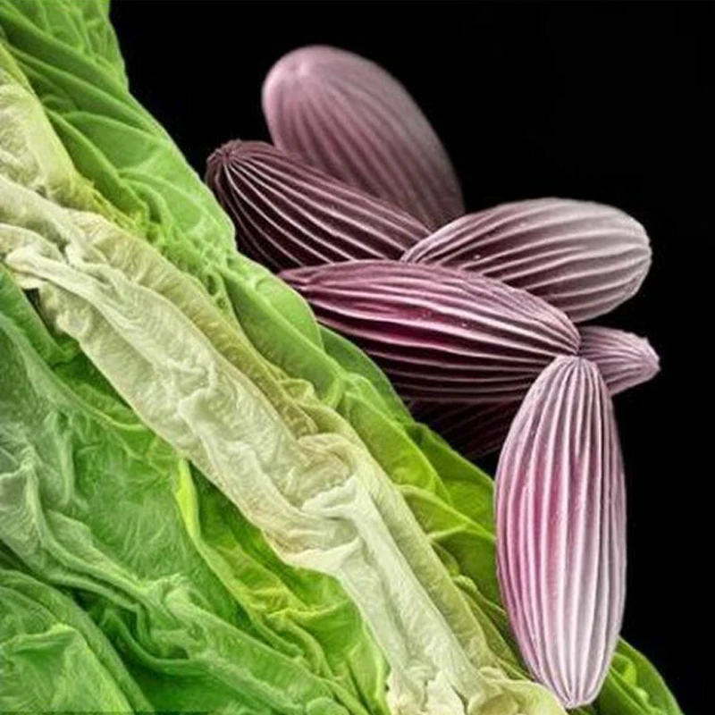 Адаптер для цифровой зеркальной камеры микроскопа с портом Canon DSLR EOS EF 23 2 мм 30 5 |