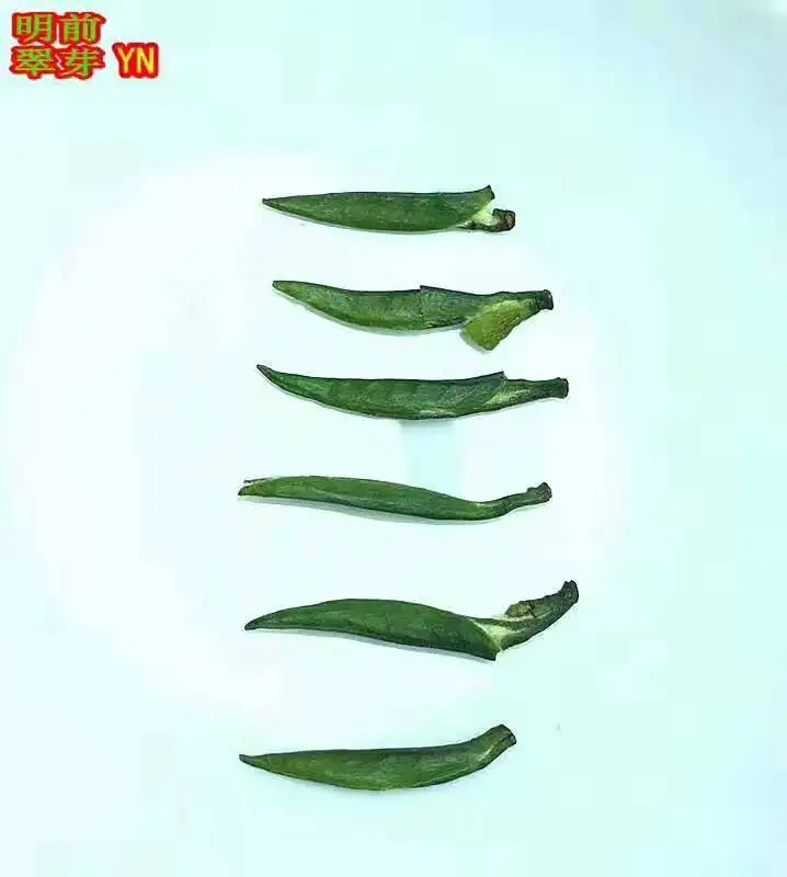 2019 новый чай зеленый Специальный сорт перед маленькими бутонами Maofeng один бутоны