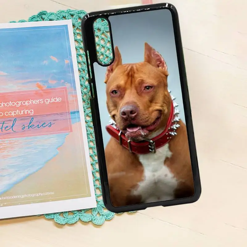 

Pit Bull Dog Pitbull cute dog high quality Phone Case funda PC for iPhone 11 12 pro XS MAX 8 7 6 6S Plus X 5S SE 2020 XR