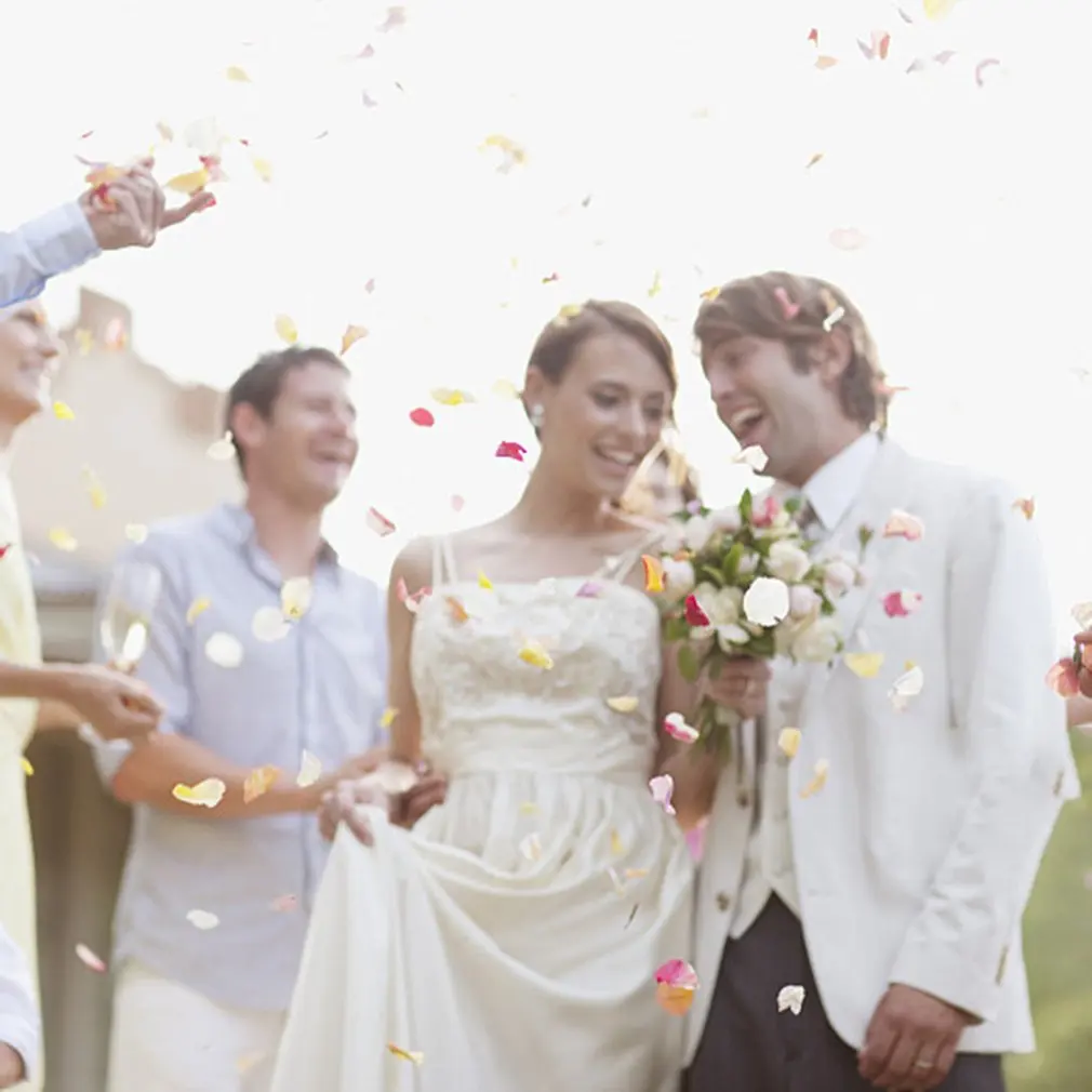 Свадебные принадлежности имитация лепестков искусственные лепестки роз цветок