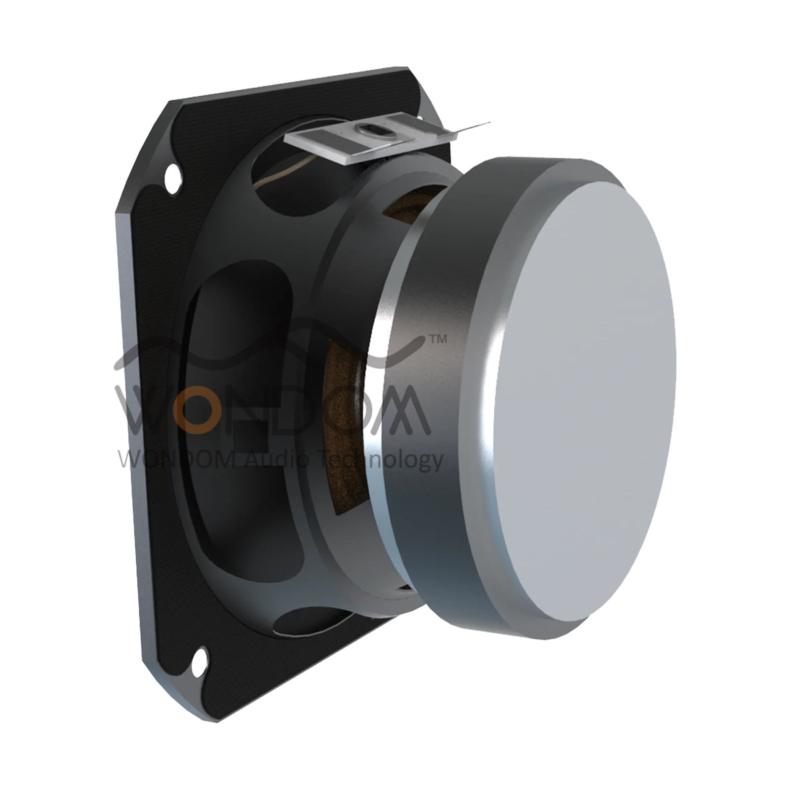 

WONDOM SUFR7010 2.75'' 4Ohm 10W Full Range Paper Cone Speaker