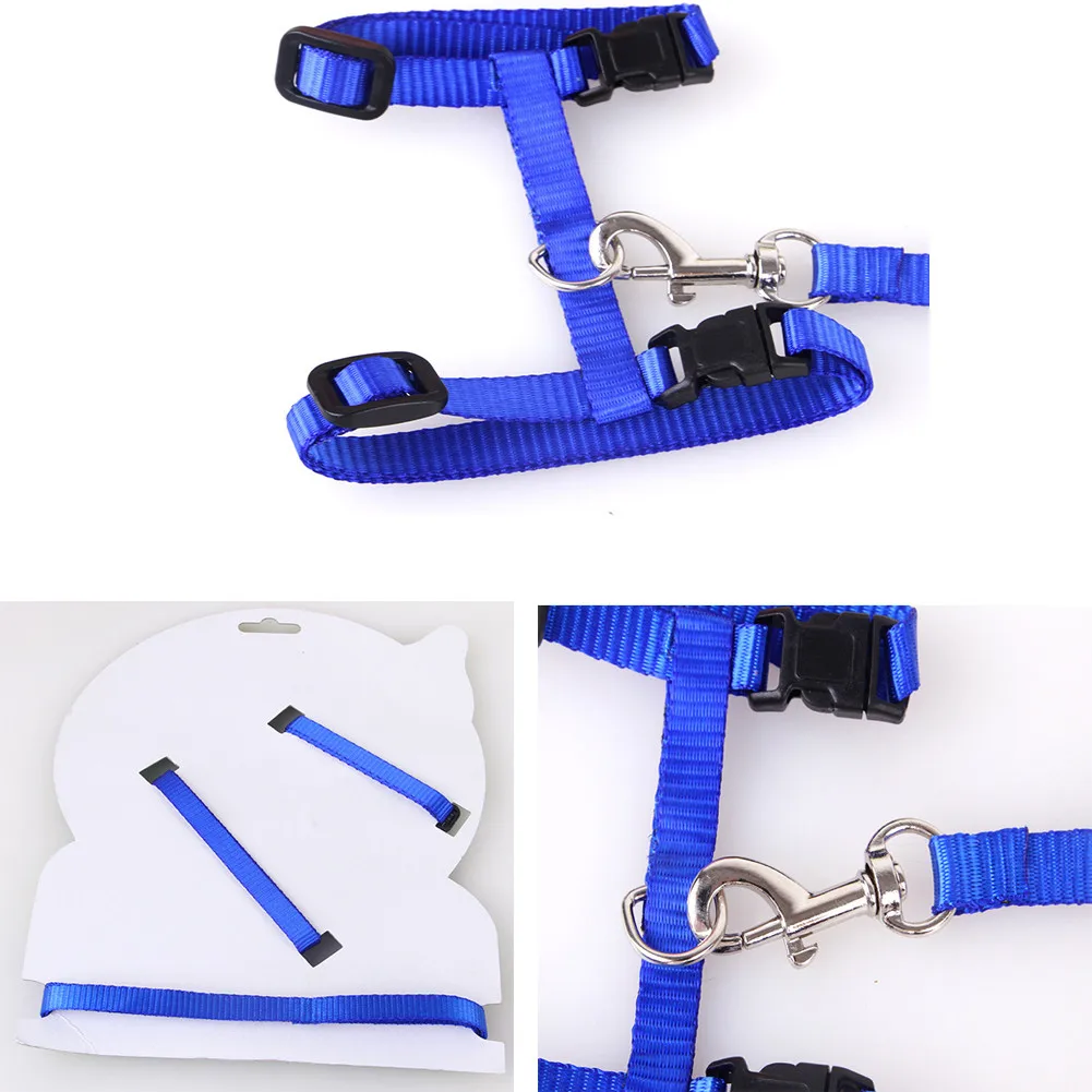 Ошейник и поводок для кошек регулируемый нейлоновый аксессуар прогулок с