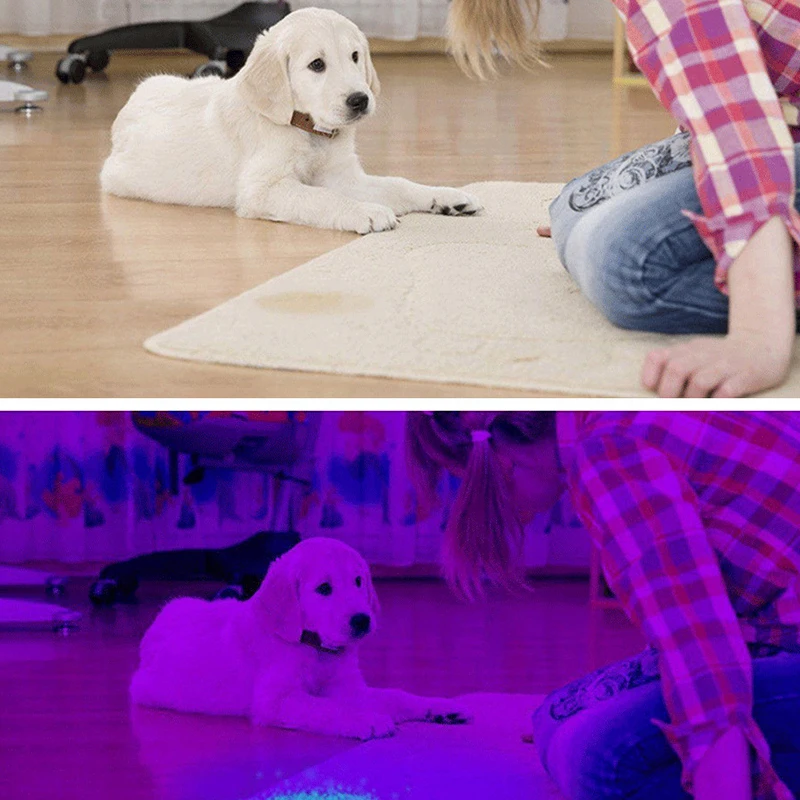 

Torch Waterproof Lanternas Zoom Lights UVC Sterilization LED Flashlight Portable Lamp