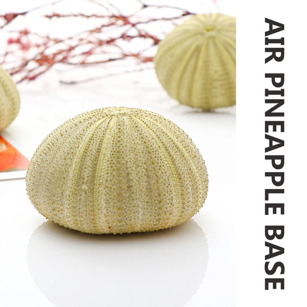 

4Pcs Creative Sea Urchin Ornaments Tillandsia Cultivation Containers DIY Planting Pots for Home Shop Office