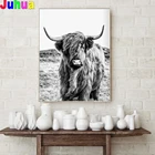 Highland корова алмазов картина DIY Набор для вышивания крестиком 5D Алмазная вышивка черный, белый цвет с рисунком животных; Домашняя мозаичного искусства алмазов камни в форме ромба