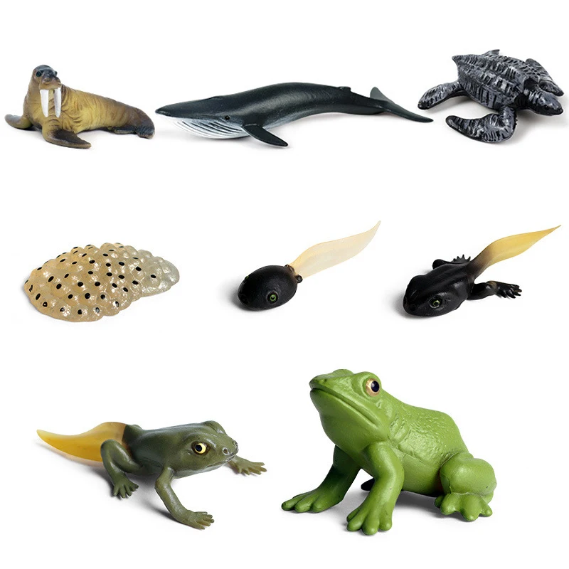 Горячая Распродажа Классическая модель цикла роста животных имитация курицы