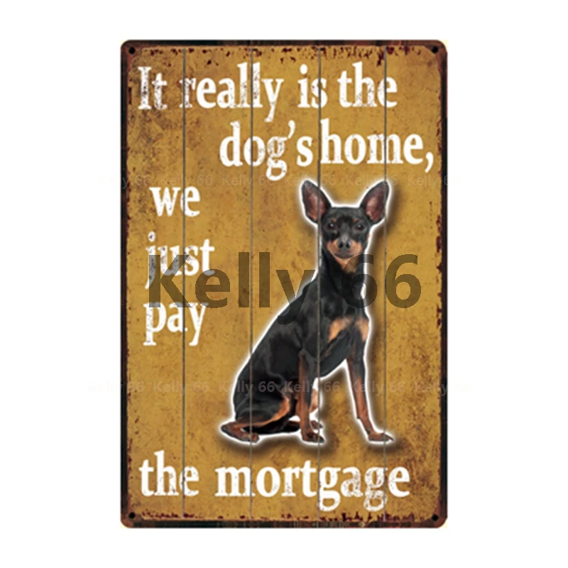 [Kelly66] это действительно домашний Мопс собаки померанский самоид металлический