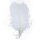 10 шт.лот белые натуральные страусиные перья 15-75 см в длину для сделай сам, центральные части свадебвечерние, украшение для дома, шлейфы, аксессуары для рукоделия