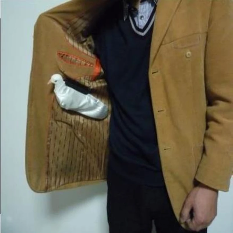 1 шт. держатель для волшебных трюков голубь|magic tricks|magic tricks free shippingtrick magic |