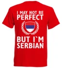 Футболка мужская хлопковая с коротким рукавом, модная классическая тенниска Serbien, Сербия