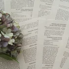 10 листовпартия, книжка в стиле шоколада