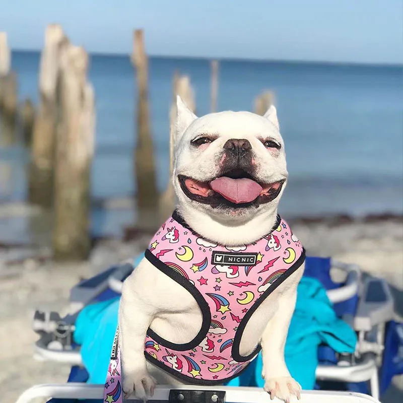 Шлейка с принтом французского бульдога двухсторонняя жилетка английского для