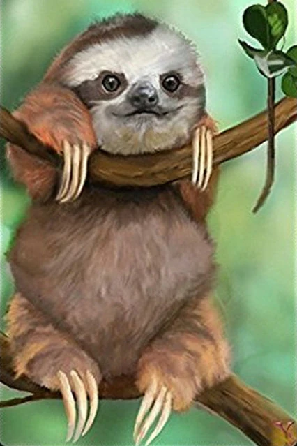 BK495-5 Алмазная вышивка ZOOYA 5D DIY с изображением животных енота дерева кленового листа, алмазная вышивка крестиком, полностью сверлильная мозаика, украшение BK495 - Цвет: BK495-5