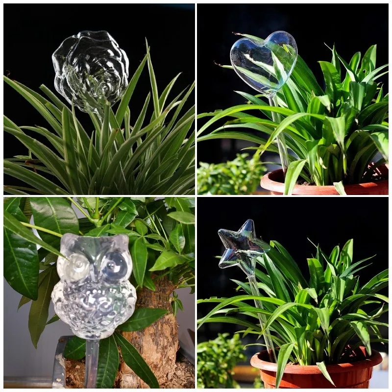 

5Styles Rose Water Houseplant Plant Pot Bulb Little Owl Automatic Self Watering Device Gardening Tools Plant Watering Equipment