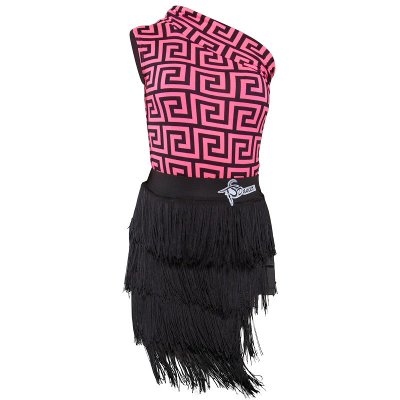 

Latin Dance Dress Kids Tango Rumba Cha Cha Samba Girls Competition Performance Costumes Fashion Print Top Fringed Skirt DN6018